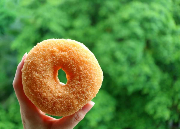 Close Mão Mulher Segurando Donut Canela Açúcar Com Desfocado Vibrante — Fotografia de Stock