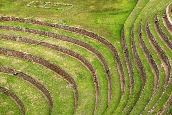 Hermosas Líneas Terrazas Agrícolas Incas Ruinas Del Sitio Arqueológico Moray — Foto de Stock
