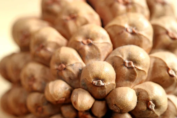 Macro Shot Della Consistenza Una Pigna Secca Naturale — Foto Stock