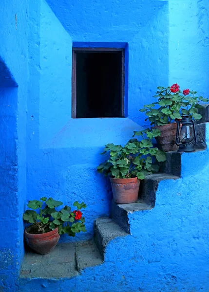 Impressive Vivid Blue Colored Staircase Red Flower Planters Monastery Santa — 스톡 사진