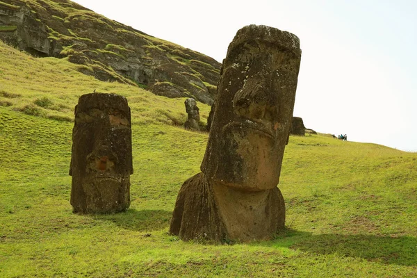 Les Statues Géantes Moai Sur Volcan Rano Raraku Site Archéologique — Photo