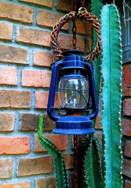 Green Cactus Plants Retro Oil Lantern Terracotta Brick Wall — 스톡 사진