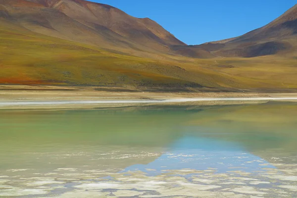 Laguna Verde Green Lake Reflection Lincancabur Volcano Andean Plateau Potosi — 스톡 사진