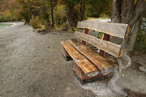 Rustic Wooden Bench Made Timber Logs Lake Shore Fall Foliage — 스톡 사진
