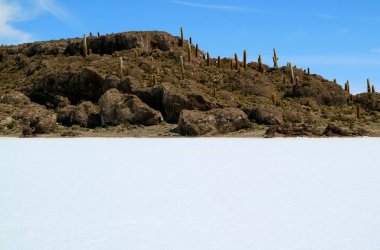 Güney Amerika, Bolivya 'nın Caquena Kantonu' ndaki Uyuni Tuz Düzlükleri 'nin ortasındaki bir Rocky Outcrop olan Incahuasi Adası veya Isla del Pescado