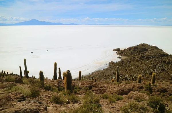 Pure Witte Salar Uyuni Werelds Grootste Zoutvlakte Uitzicht Vanaf Isla — Stockfoto