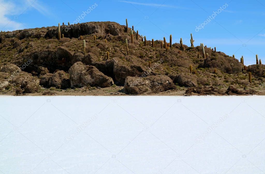 Isla Incahuasi or Isla del Pescado, an Rocky Outcrop in the Middle of Uyuni Salt Flats in Caquena Canton of Bolivia, South America