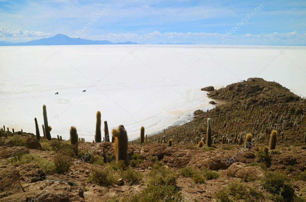 Pure white Salar de Uyuni, the world's largest salt flats view from Isla Incahuasi, the Cactus field Island in the middle of salt flats, Bolivia