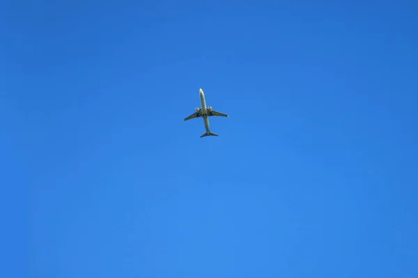 Avião Voando Através Vibrante Céu Azul Claro Com Espaço Livre — Fotografia de Stock
