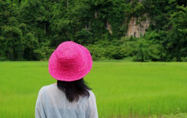 Canlı Pembe Hasır Şapkalı Kadın Canlı Yeşil Pirinç Tarlasına Bakıyor, Tayland 'ın Phitsanulok Eyaleti' nde Yağmurlu Mevsim