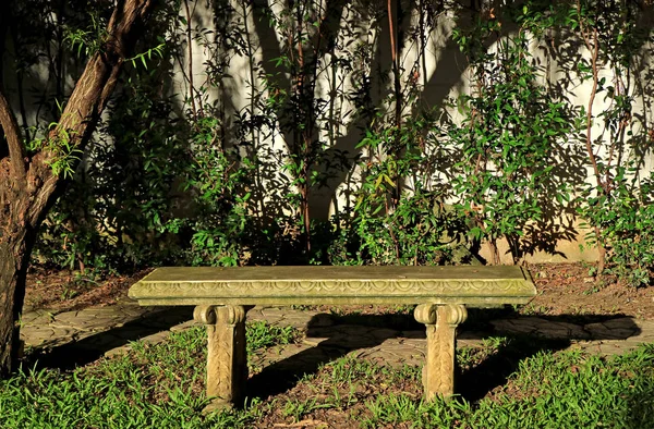 Banco Pedra Sob Árvore Luz Sol Jardim Tropical — Fotografia de Stock