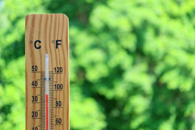 Arkaplanda Bulanık Yeşil Yapraklı 35 Derece Gösterilen Tahta Termometrenin Önü