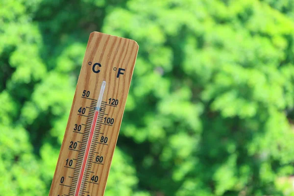 Thermometer showing high temperature at 44 degree celsius against green foliage in the sunlight