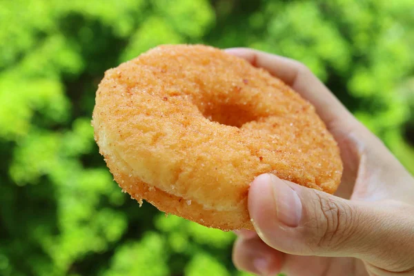 Closeup Donut Canela Açúcar Mão Com Folhagem Verde Desfocada Fundo — Fotografia de Stock