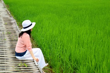 Genç Kadın Tayland 'ın Nan eyaletindeki Vibrant Green Paddy Field' daki Bambu Köprüsü 'nde oturuyor.