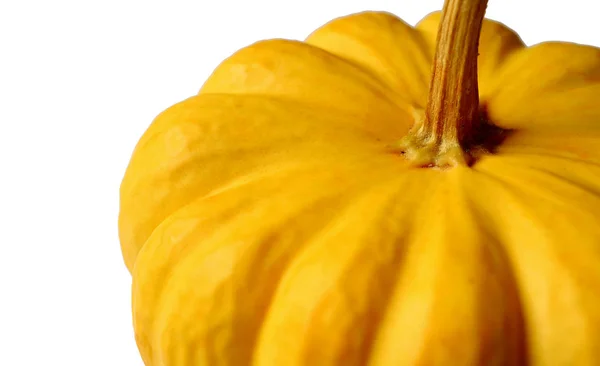 Calabaza Madura Color Amarillo Vivo Cerrada Aislada Sobre Fondo Blanco — Foto de Stock