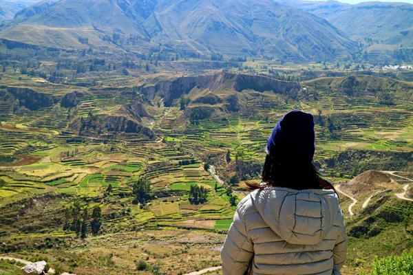 Female Tourist Looking Agricultural Terraces Colca Canyon Arequipa Region Peru — Stock Photo, Image