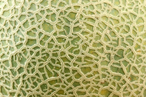 Gros Plan Sur Motif Unique Peau Verte Melon Melon Cantaloupe — Photo