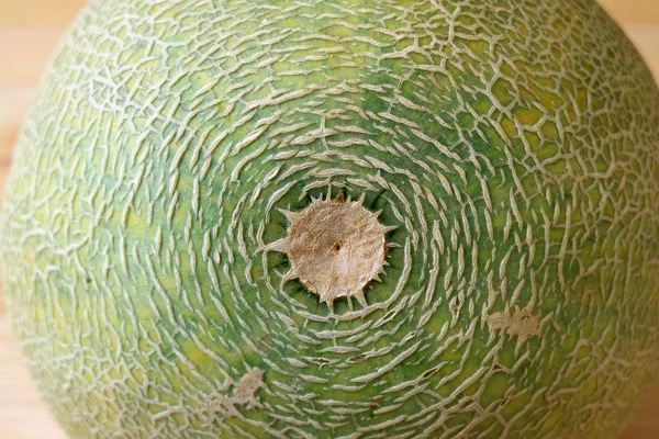 Pelure Verte Fermée Fond Melon Cantaloup Melon Musc — Photo
