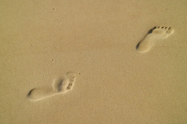 Empreintes Pas Une Femme Sur Plage Sable — Photo