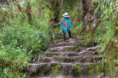 Huayna Picchu Dağı, Machu Picchu Bölgesi, Cusco Bölgesi, Urubamba Eyaleti, Peru