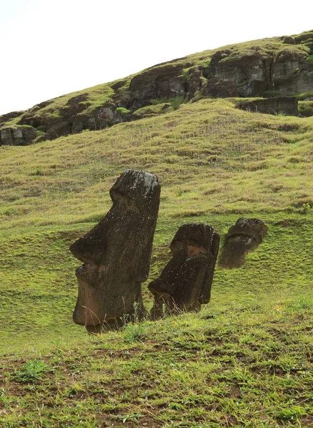 Ruiny Ogromnego Moai Zboczu Wulkanu Rano Raraku Park Narodowy Rapa — Zdjęcie stockowe