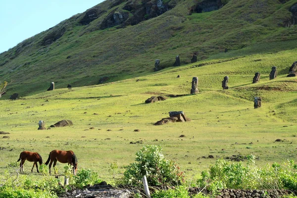 Foothill Rano Raraku Vulkan Där Moai Statyer Gjordes Påskön Chile — Stockfoto
