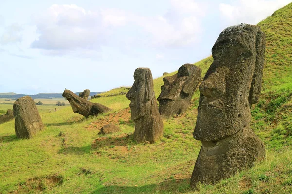 Muchas Las Estatuas Moai Encuentran Dispersas Ladera Del Volcán Rano — Foto de Stock