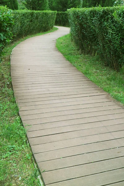 Vertical Image Empty Wooden Path Park — 스톡 사진