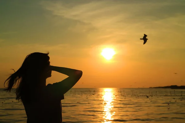 年轻女子的轮廓 带着一只飞翔的小鸟 看着太阳在金色的天空中升起 — 图库照片