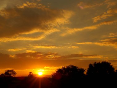 Altın güneş Tayland 'ın kırsal kesimlerindeki ormanın siluetinin üzerinde batıyor.