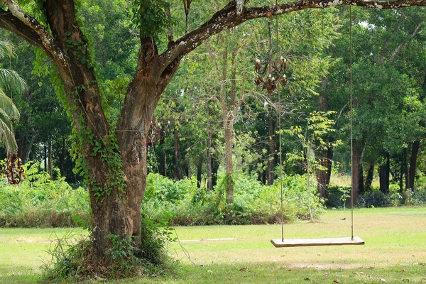 Pusta Drewniana Huśtawka Wisząca Dużym Drzewie Zielonym Ogrodzie — Zdjęcie stockowe