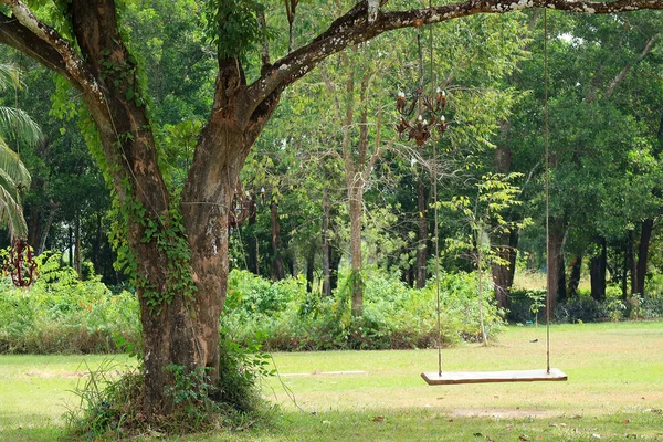 Lege Houten Schommel Hangend Aan Een Grote Boom Groene Tuin — Stockfoto