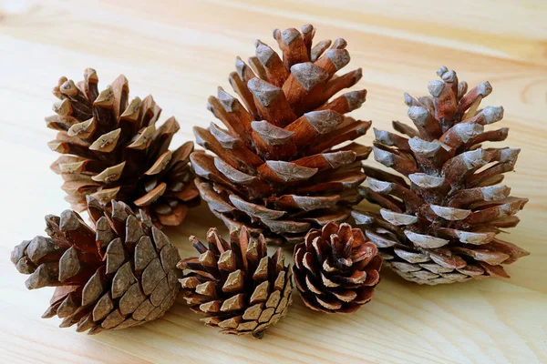 Heap Van Verschillende Maten Natuurlijke Droge Dennenappels Geïsoleerd Licht Bruin — Stockfoto