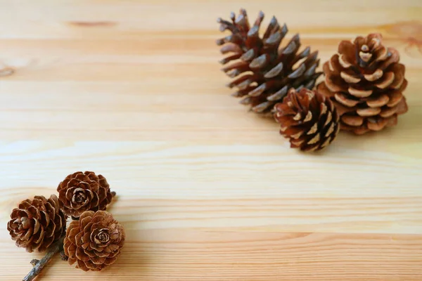 Φυσικό Ξηρό Τριαντάφυλλο Σχήμα Mini Pine Cones Και Ένα Άλλο — Φωτογραφία Αρχείου