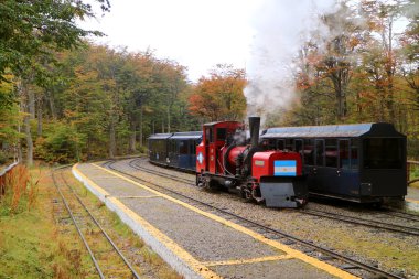 Güney Fuegian Demiryolu ya da Dünyanın Sonu Treni Tierra del Fuego Ulusal Parkı, Patagonya, Arjantin