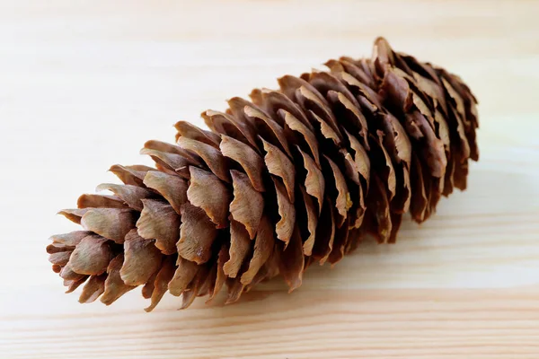 Açık Kahverengi Ahşap Arkaplanda İzole edilmiş Doğal Kuru Çam Kozalakları