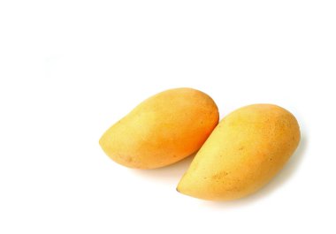Taze olgun mango çifti Tüm meyveler beyaz arka planda izole edildi