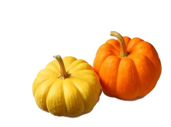 Zucche Mature Colore Giallo Brillante Arancione Vibrante Isolate Sfondo Bianco — Foto Stock