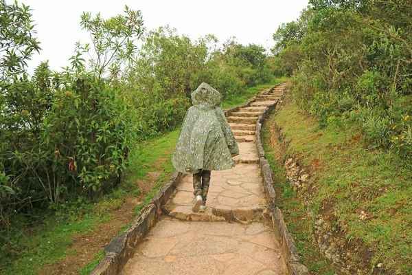 Yağmur Altında Taştan Yolda Yürüyen Kadın Gezgin Kuelap Arkeoloji Kompleksi — Stok fotoğraf