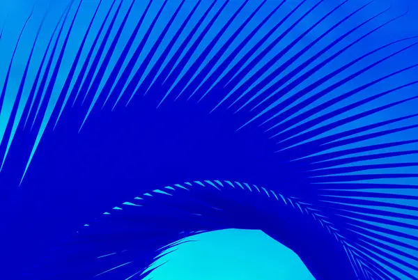Pop Art Abstract Royal Blue Palm Tree Leaf Aqua Blue — Stock Photo, Image
