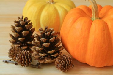 Ahşap masada bir sürü doğal kuru kozalaklı canlı renkli olgun balkabağı çifti.