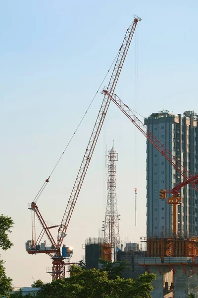 建設現場における二羽の鶴の垂直像 — ストック写真