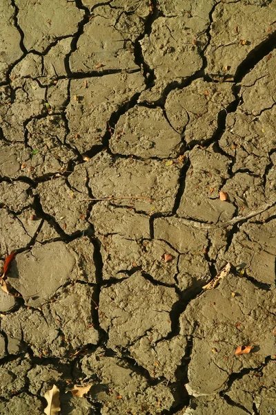 Verticale Afbeelding Van Gebakerde Droge Grond Textuur Het Zonlicht — Stockfoto