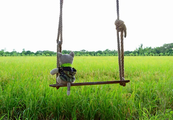 Una Muñeca Cachorro Sentada Columpio Madera Mirando Los Campos Arroz —  Fotos de Stock