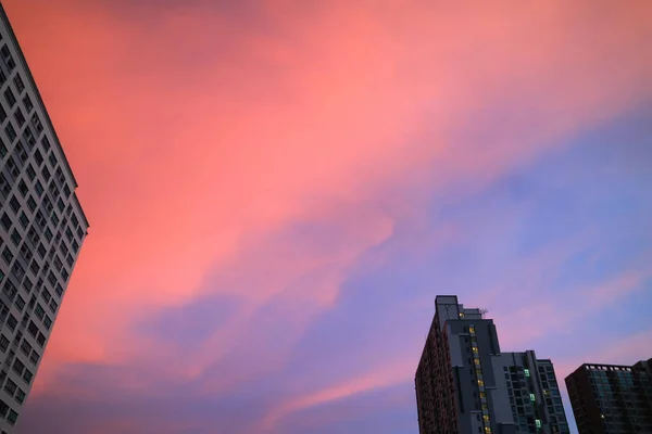 Stunning Vibrant Pink Blue Clouds Layer Sunset Sky High Buildings — Stock Photo, Image
