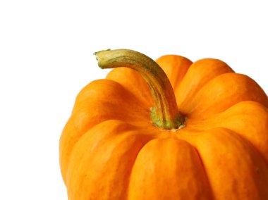 Kapalı turuncu renkli olgun balkabağı sapı beyaz arkaplanda izole.