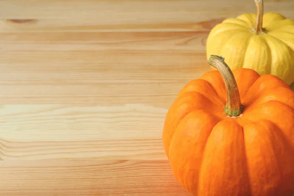 Pair Bright Yellow Orange Color Ripe Pumpkins Stem Light Brown — Stock Photo, Image