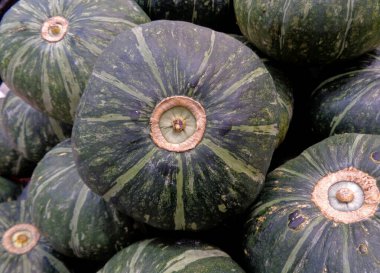 Koyu yeşil renkli balkabağı yığını