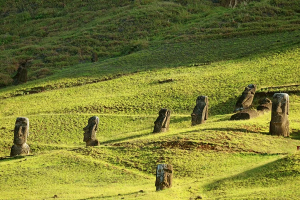 Wiele Porzuconych Gigantycznych Ruin Posągów Moai Zboczu Wulkanu Rano Raraku — Zdjęcie stockowe